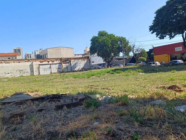 #50 - Área para Venda em Londrina - PR - 1