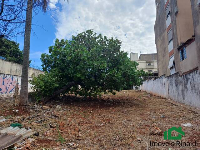 #13 - Área para Venda em Londrina - PR - 2