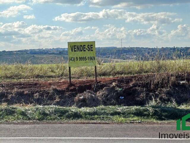 #73 - Chácara para Venda em Rolândia - PR - 1