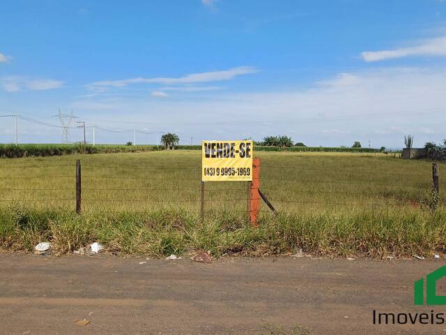#77 - Chácara para Venda em Londrina - PR - 1