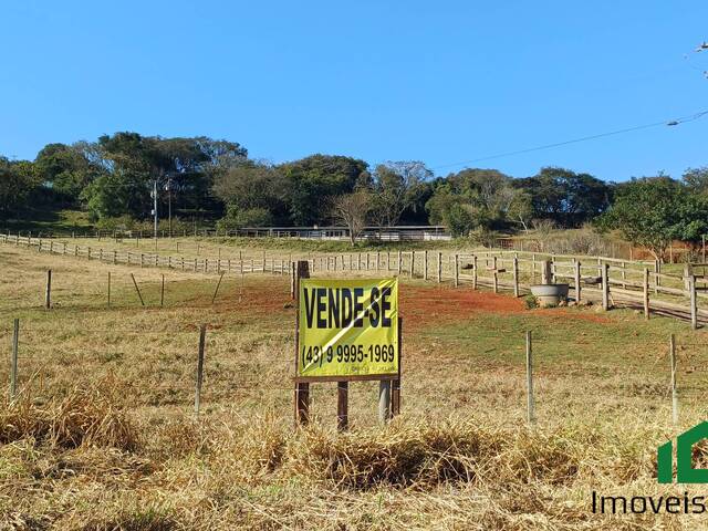 #86 - Chácara para Venda em Londrina - PR - 1