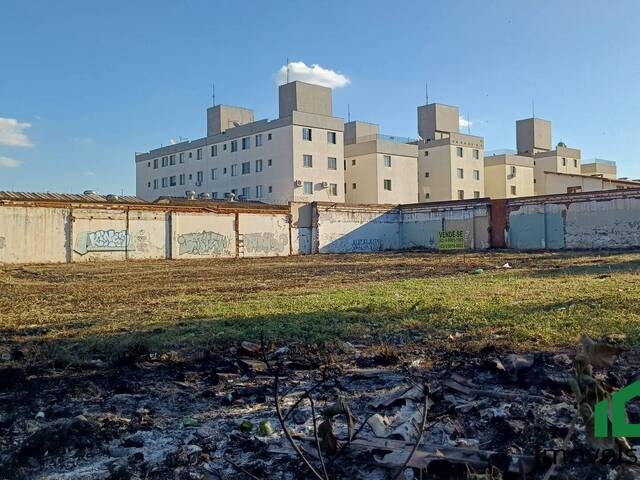 #50 - Área para Venda em Londrina - PR - 1