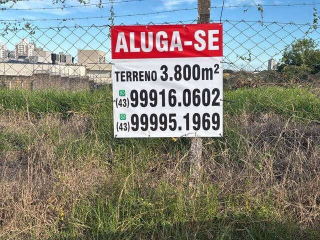 Área para Locação em Londrina - 2