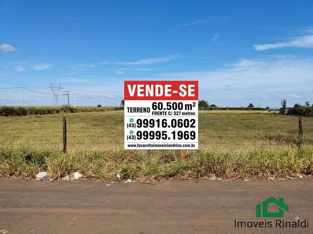 #77 - Chácara para Venda em Londrina - PR